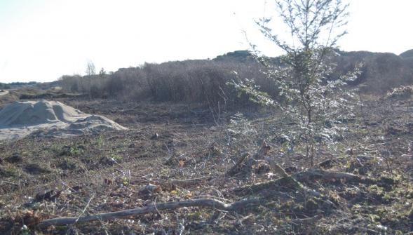 
Au sud du domaine de Whitley et au nord du parcours du golf, cinq hectares ont t dfrichs ces dernires semaines.
